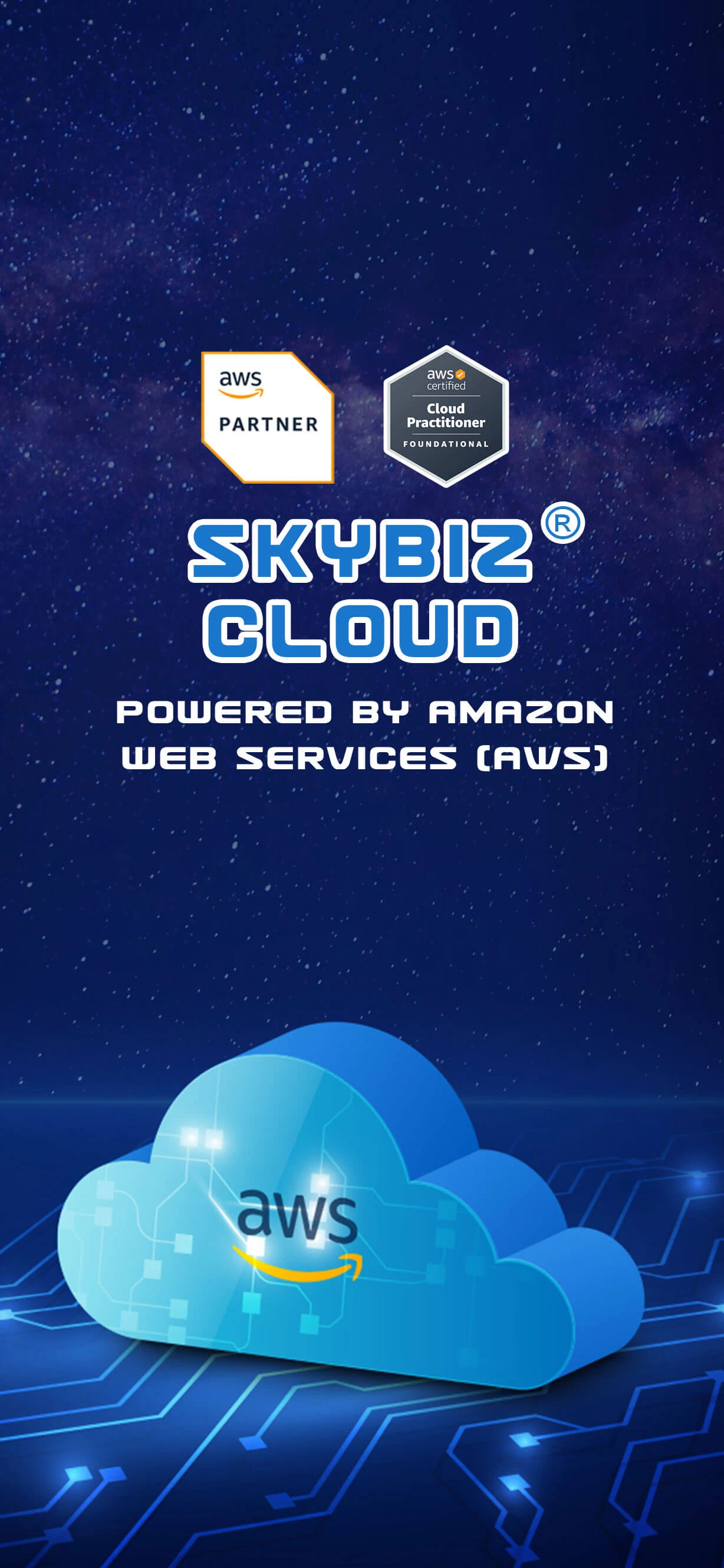 SKYBIZ Cloud Accounting powered by AWS
