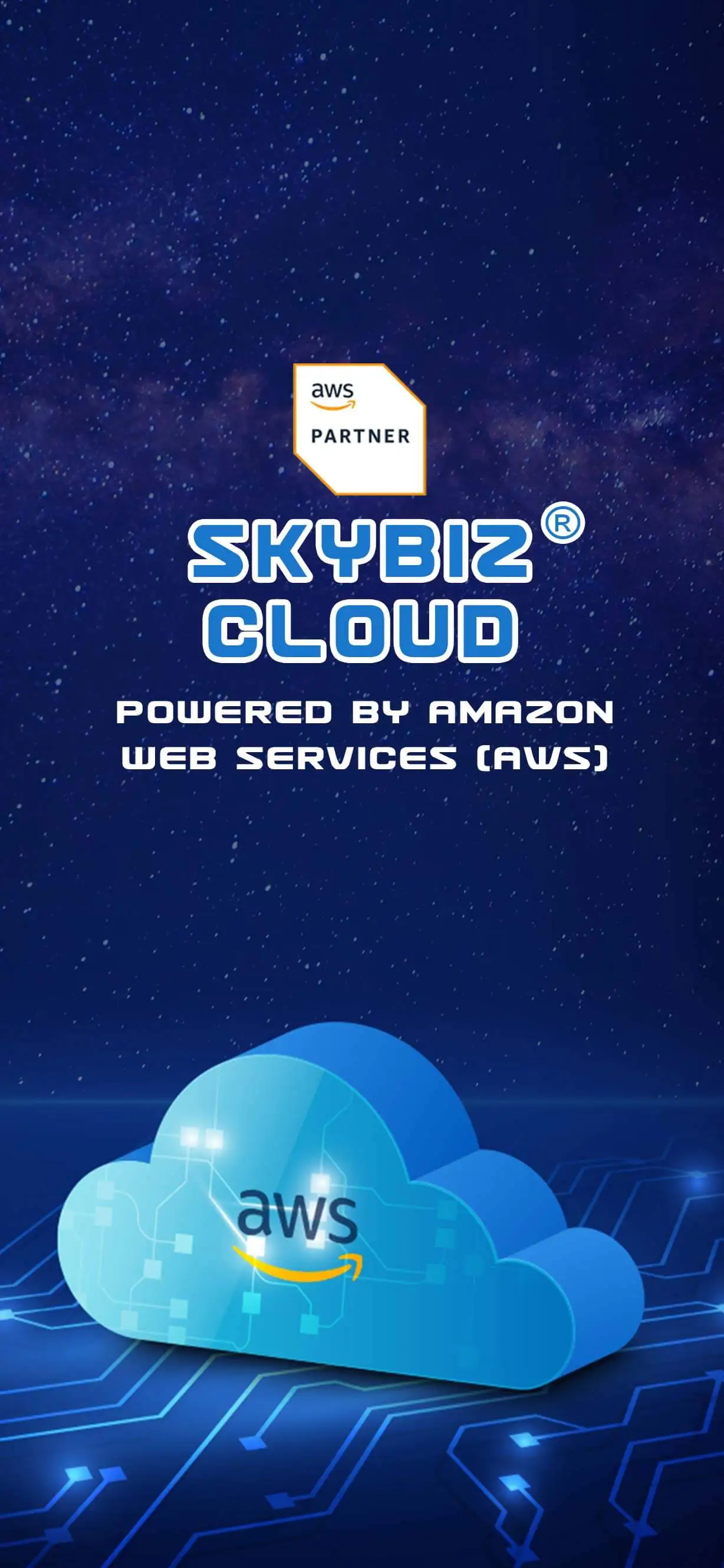 SKYBIZ Cloud Accounting powered by AWS