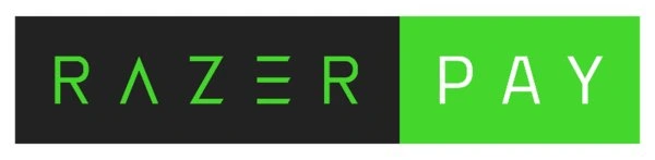 cloud accounting multi payments razer